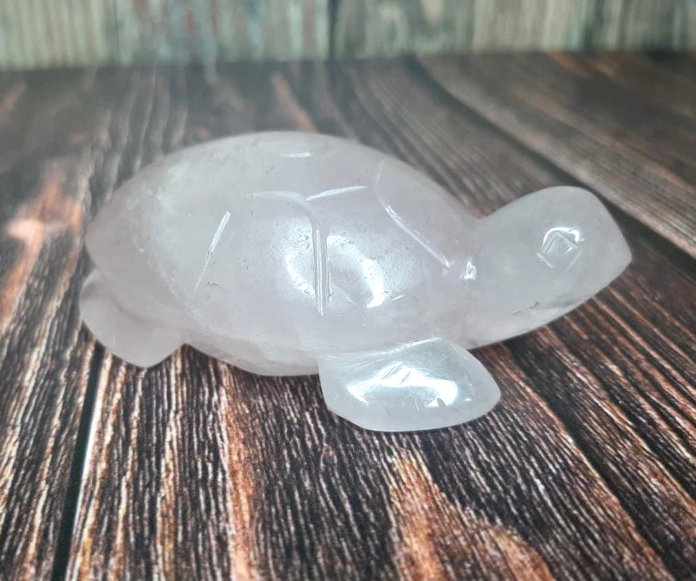 Rose Quartz Turtle – The Healing Store